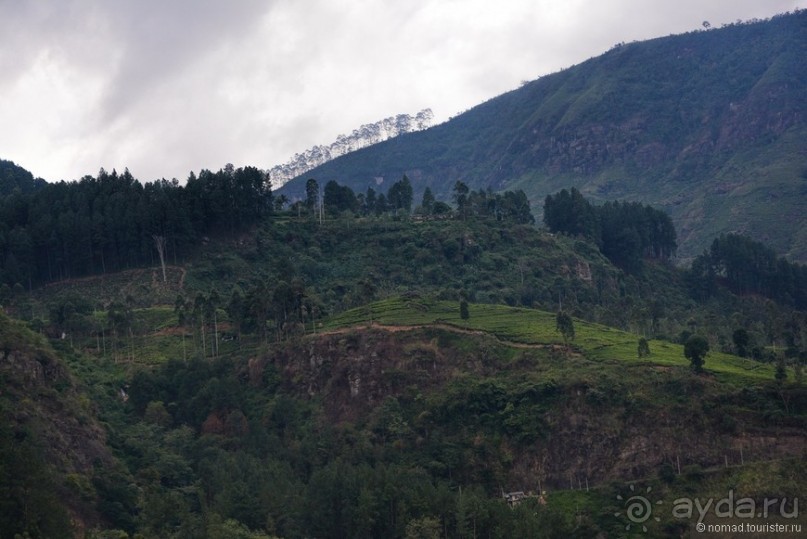 Цейлон на троих. Часть 4