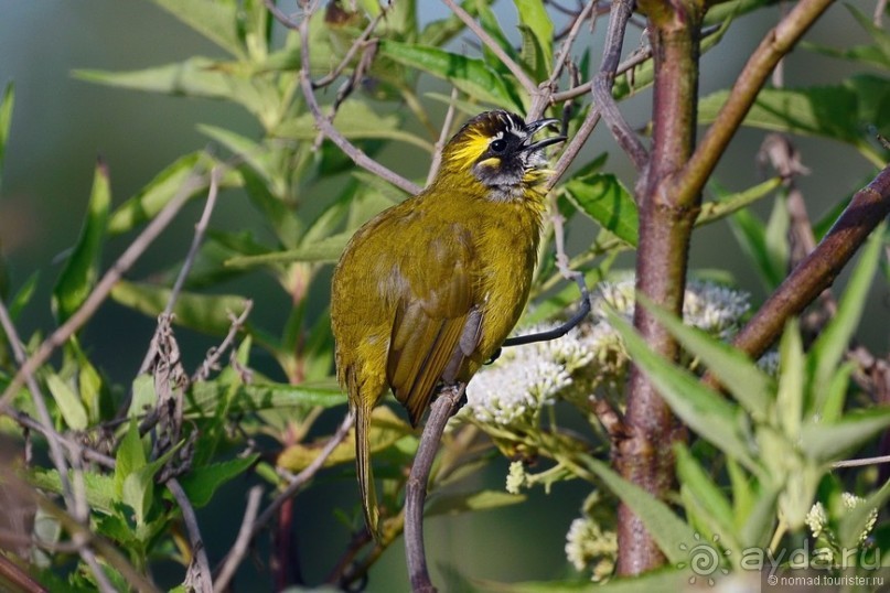 Цейлон на троих. Часть 4