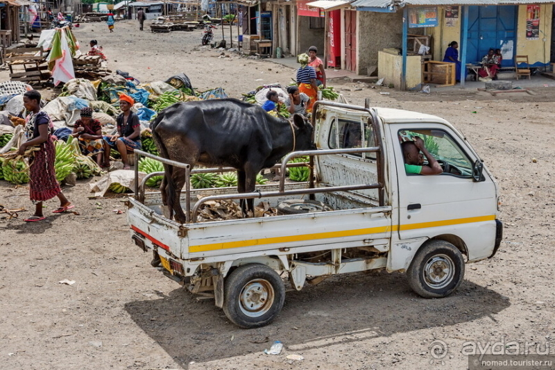 Африканское ралли. Часть 12. Танзания