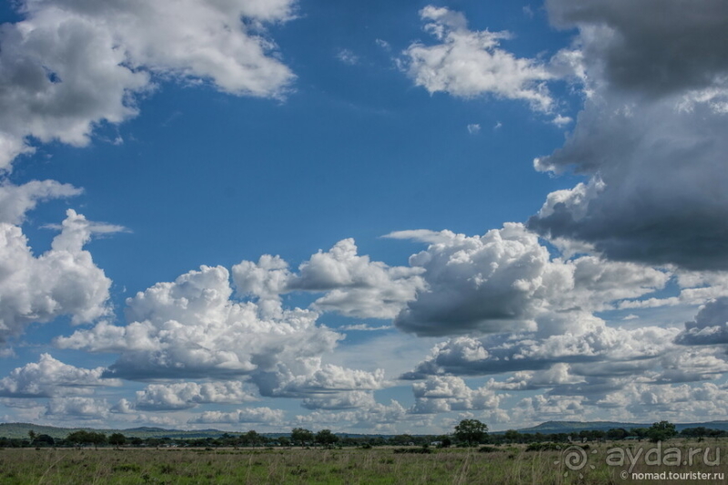 Африканское ралли. Часть 12. Танзания