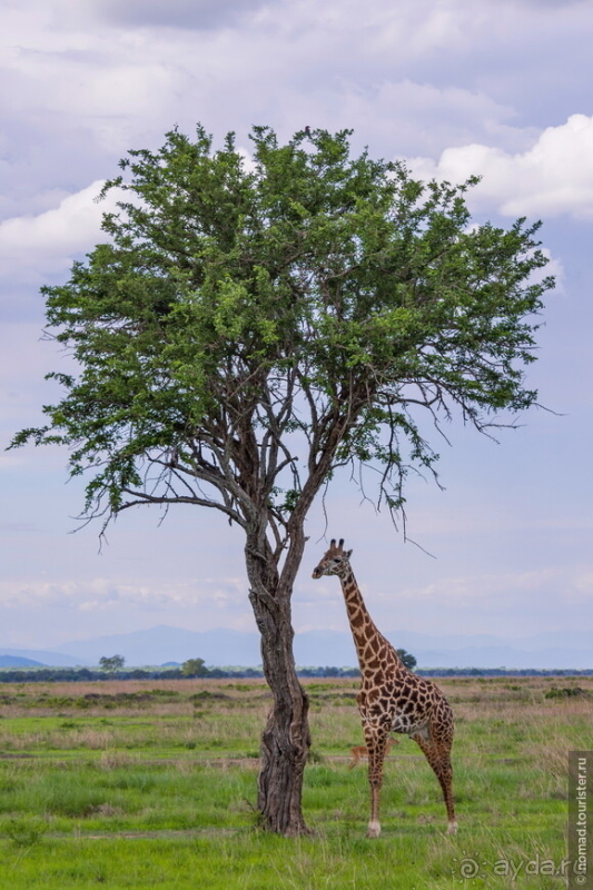 Африканское ралли. Часть 12. Танзания