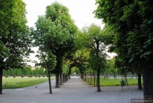 Альбом отзыва "Не классическая Вена"