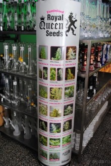 Альбом отзыва "Не классическая Вена"