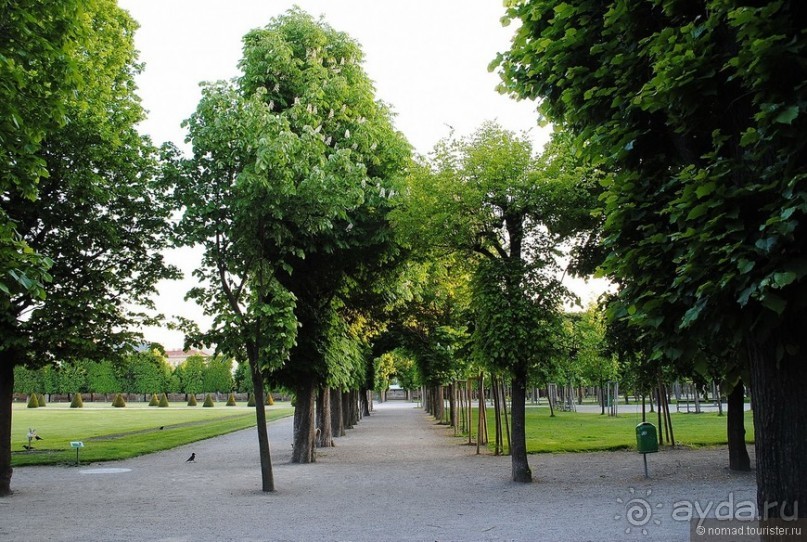 Не классическая Вена