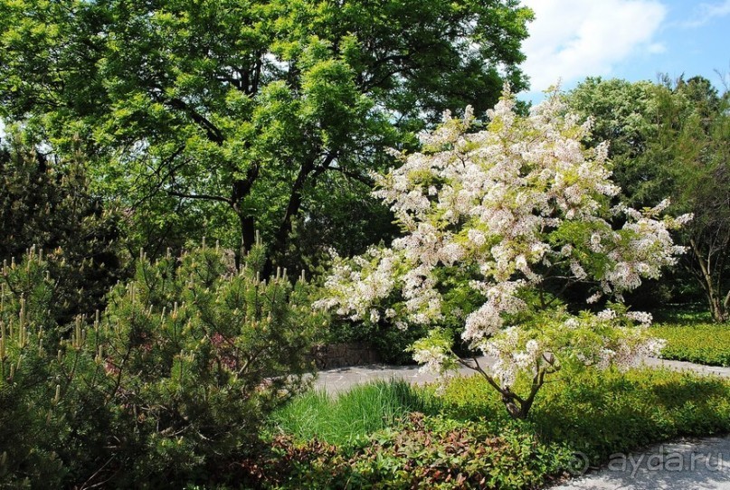 Не классическая Вена