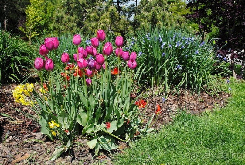 Не классическая Вена