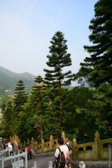 Незнакомый Гонконг