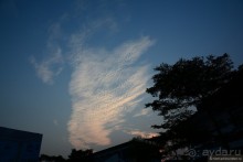 Незнакомый Гонконг