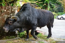 Незнакомый Гонконг