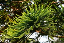 Незнакомый Гонконг