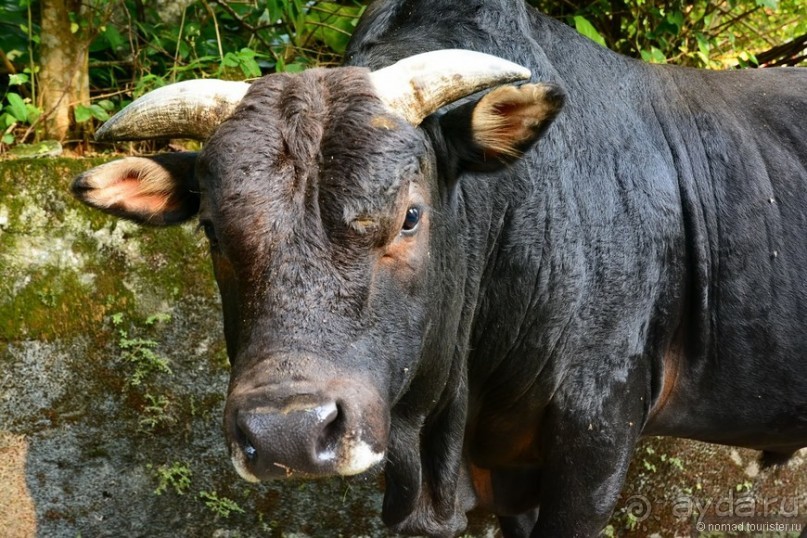 Незнакомый Гонконг