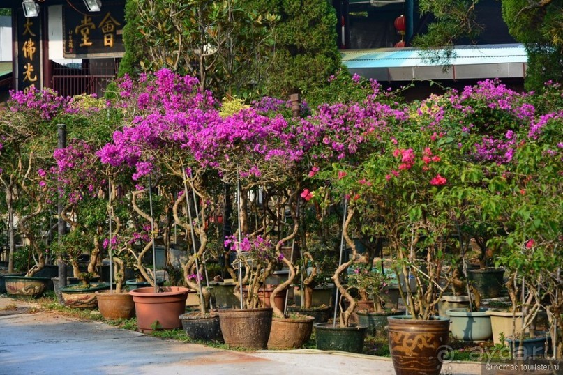 Незнакомый Гонконг