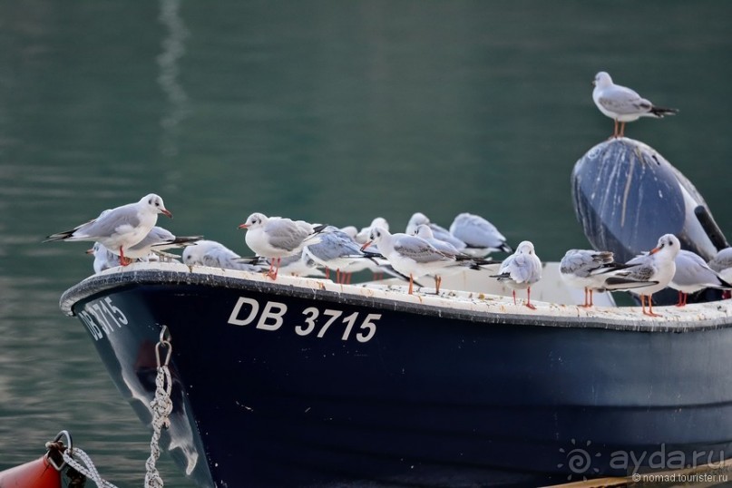 Балканское кольцо. Часть 2