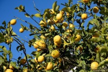 Балканское кольцо. Часть 2