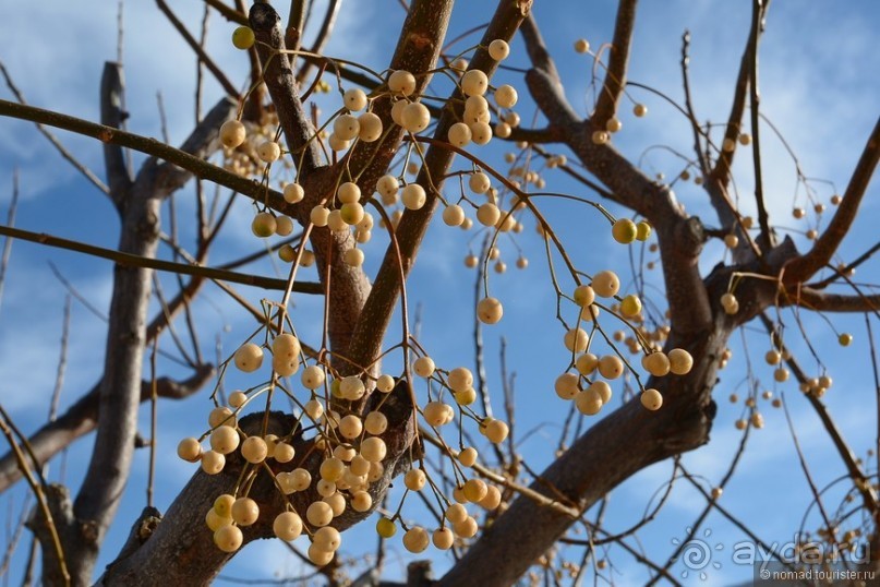 Балканское кольцо. Часть 2