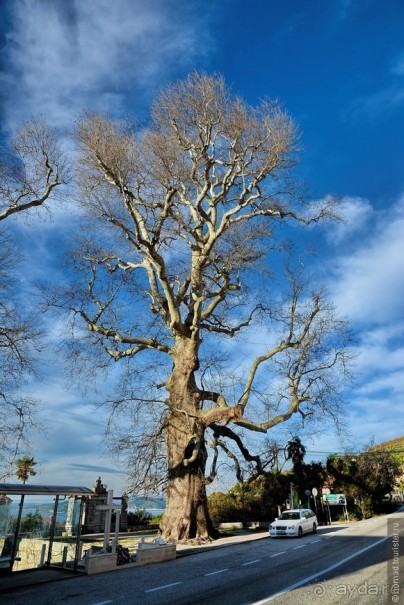 Балканское кольцо. Часть 2