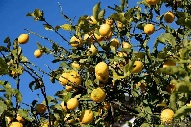 Балканское кольцо. Часть 2