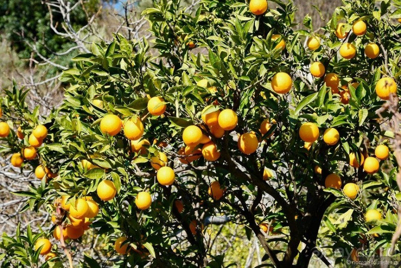 Балканское кольцо. Часть 2