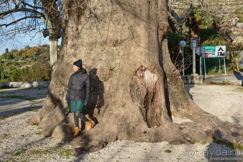 Балканское кольцо. Часть 2