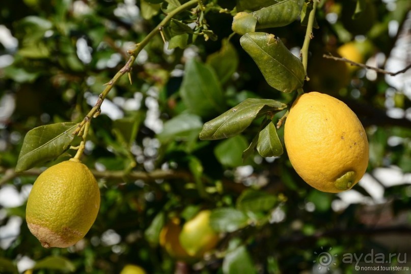 Балканское кольцо. Часть 2