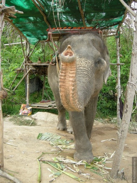 Древние храмы и вечные пляжи. Часть 8