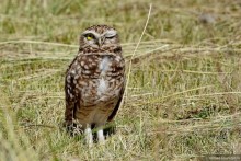 Bolivia te espera! Часть 3