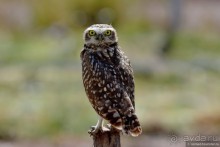 Bolivia te espera! Часть 3