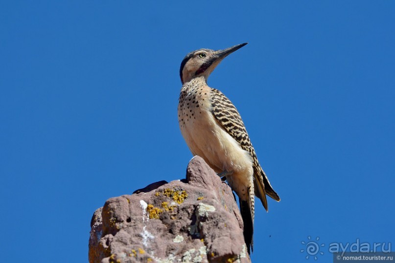 Bolivia te espera! Часть 3