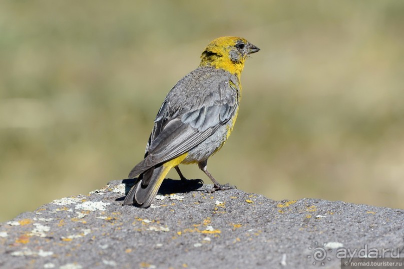 Bolivia te espera! Часть 3