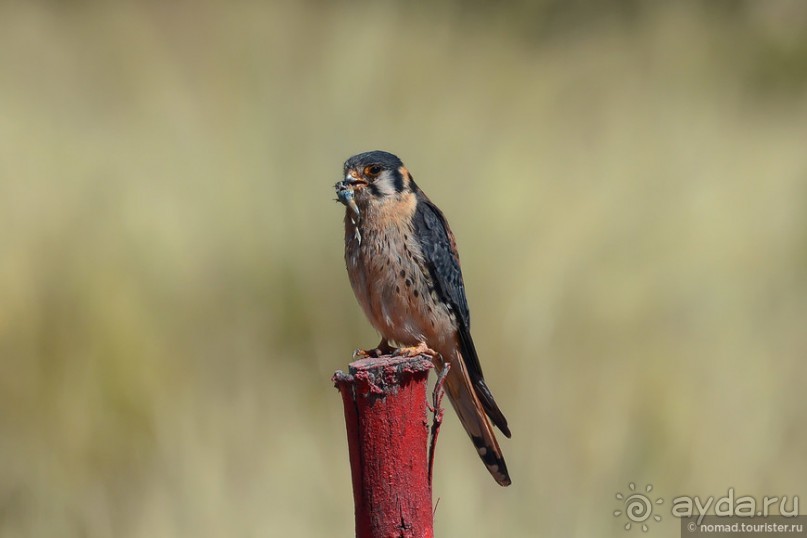 Bolivia te espera! Часть 3