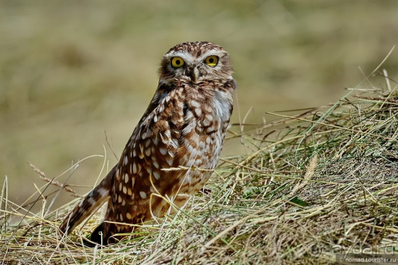 Bolivia te espera! Часть 3