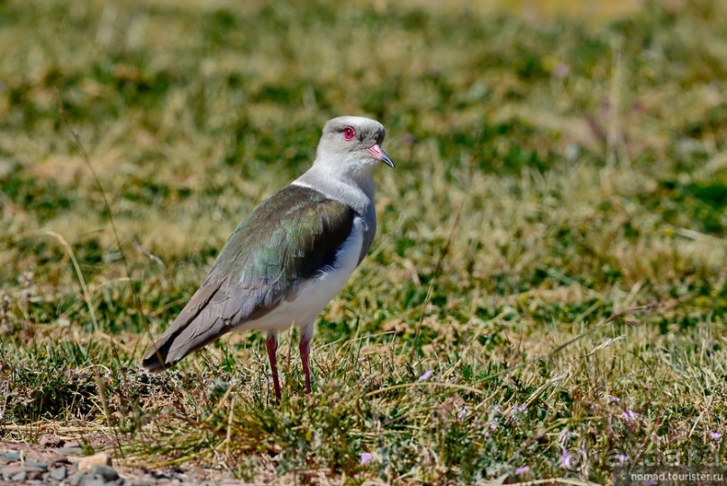 Bolivia te espera! Часть 3
