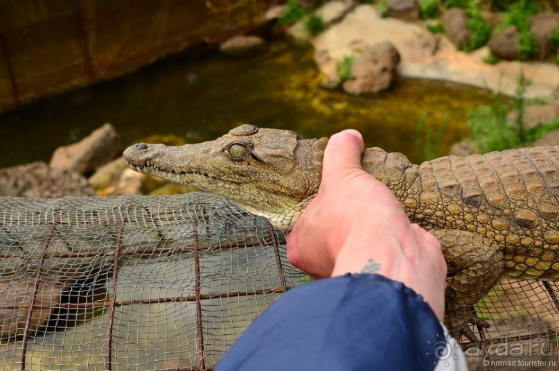Акуна матата — дубль два. Кения в сезон дождей. Часть 6