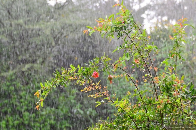 Акуна матата — дубль два. Кения в сезон дождей. Часть 6