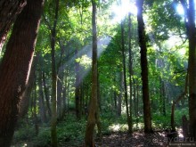 Альбом отзыва "Страна миллионов САБАДИ. Часть 1"