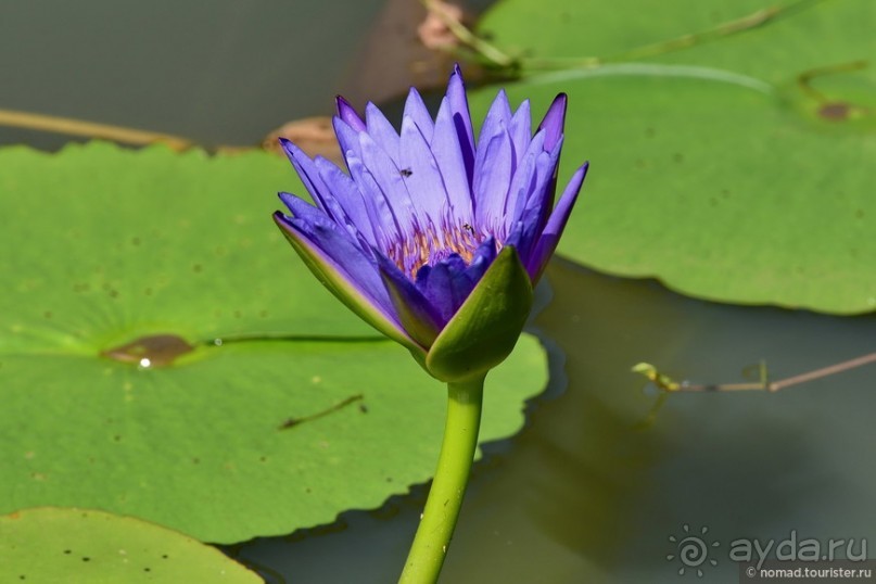 ТАИЛАНДиЯ. Часть 12, заключительная