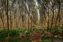 ТАИЛАНДиЯ. Часть 12, заключительная