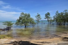 ТАИЛАНДиЯ. Часть 12, заключительная