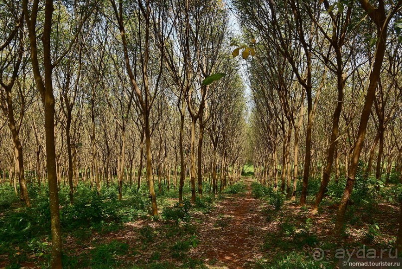 ТАИЛАНДиЯ. Часть 12, заключительная