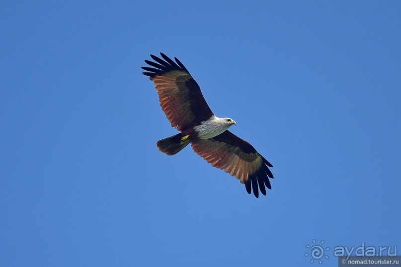 ТАИЛАНДиЯ. Часть 12, заключительная