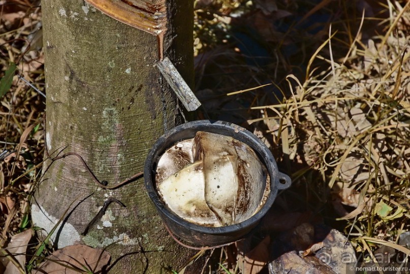 ТАИЛАНДиЯ. Часть 12, заключительная