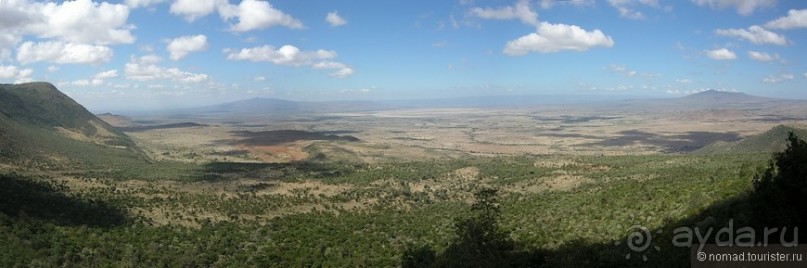 Акуна матата, или даешь сафари! Часть 1