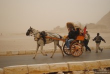 Акуна матата, или даешь сафари! Часть 1