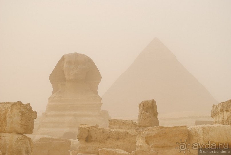 Акуна матата, или даешь сафари! Часть 1