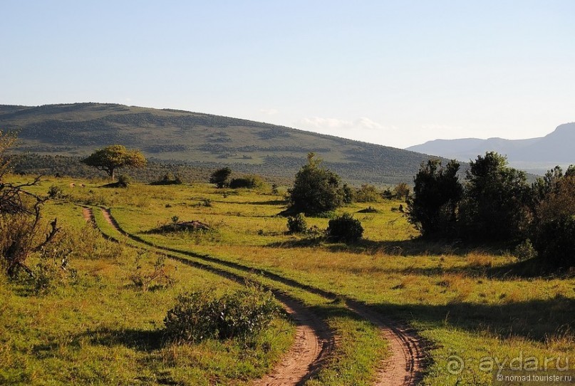 Акуна матата, или даешь сафари! Часть 1