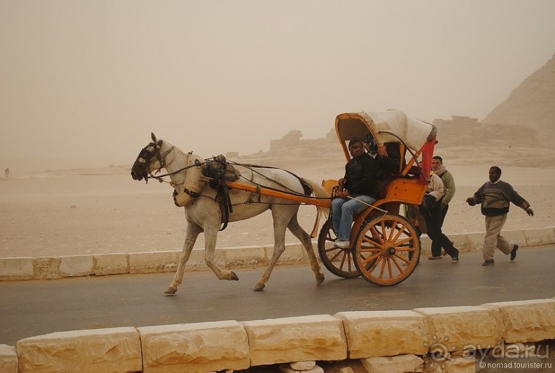 Акуна матата, или даешь сафари! Часть 1