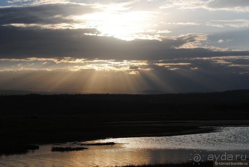 Акуна матата, или даешь сафари! Часть 1
