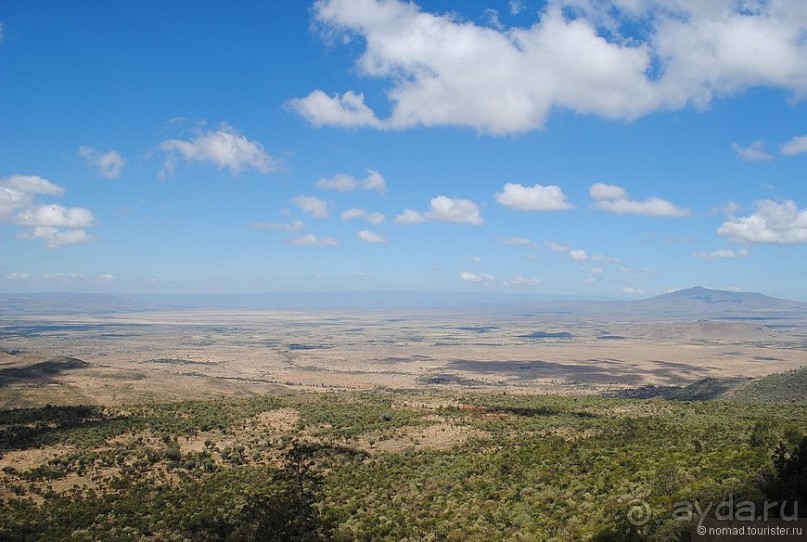 Акуна матата, или даешь сафари! Часть 1