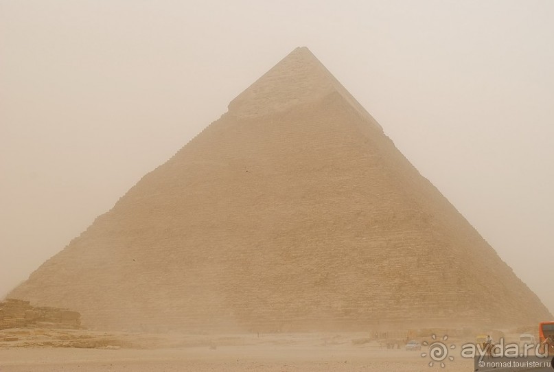 Акуна матата, или даешь сафари! Часть 1