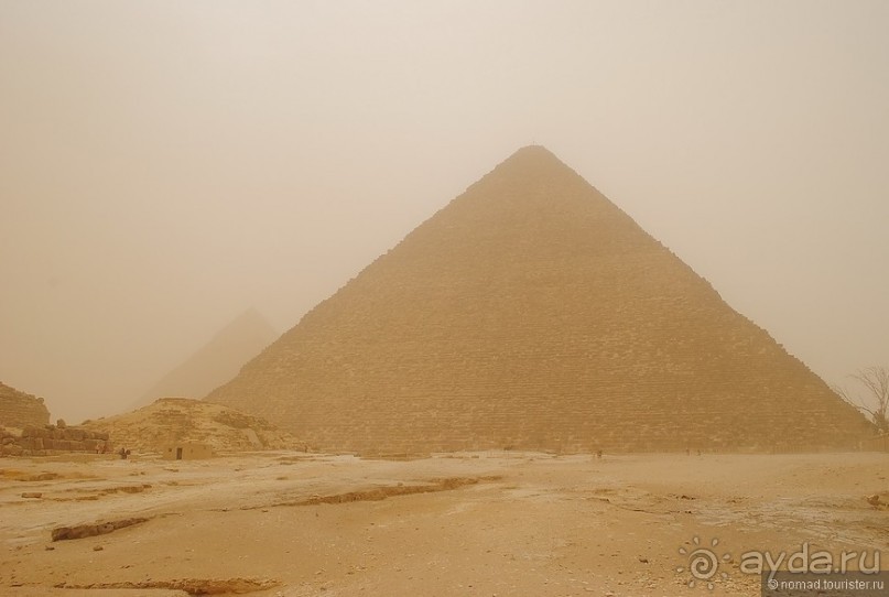 Акуна матата, или даешь сафари! Часть 1